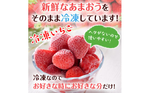 福岡県産いちご 冷凍あまおう・あまおういちごの冷凍タブレット(合計約1.2kg) 苺 フルーツ 果物 数量限定＜離島配送不可＞【ksg1299】【よっちゃんファーム】