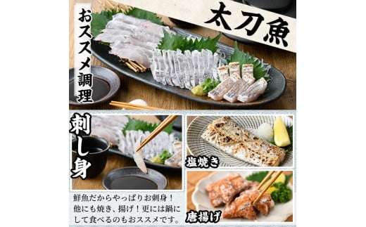 【0223204a】鮮度が命！鮮魚問屋が厳選した『鮮魚たちうおビッグサイズBOX』(1尾・1kg以上)魚 魚介類 鮮魚 海鮮 太刀魚 ムニエル 塩焼き【江川商店】