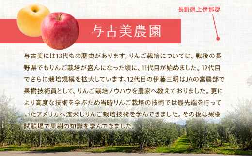 先行予約 りんご 名月 5kg 2024年 令和6年発送 酸味が少なく甘さが際立つおいしいりんご 林檎 リンゴ 果物 くだもの フルーツ 旬の果物 旬のフルーツ 信州 長野 長野県 [№5675-1365]