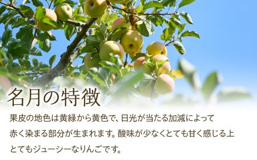 先行予約 りんご 名月 5kg 2024年 令和6年発送 酸味が少なく甘さが際立つおいしいりんご 林檎 リンゴ 果物 くだもの フルーツ 旬の果物 旬のフルーツ 信州 長野 長野県 [№5675-1365]