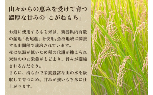 杵つき黄金餅 約2kg（10切れ入り×4袋）《11月下旬～順次発送》新潟県産こがねもち米 保存料不使用の餅 加茂市 金子米店