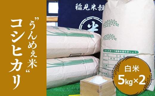 [令和年度産] 栃木県上三川町産コシヒカリ・白米 (5kg×2袋) ◇ | 国産 栃木県産 コシヒカリ 米 お米 単一原料米 精米 白米 栃木米 とちぎ米 産地直送 送料無料