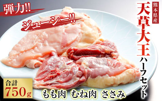 天草大王 ハーフ セット 750g ( もも むね ささみ ) 鶏肉  ミックス 熊本県産