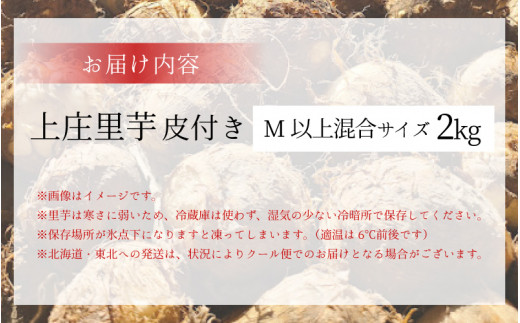 【先行予約】【10月発送】こだわりの特別栽培 上庄里芋2kg  化学肥料不使用・農薬50％以上カットの特別栽培里芋 農家直送