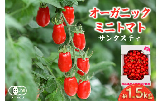 【全6回定期便】オーガニックミニトマト（サンタスティ）約1.5kg ／ とまと 野菜 高糖度 スナックタイプ 愛知県 特産品