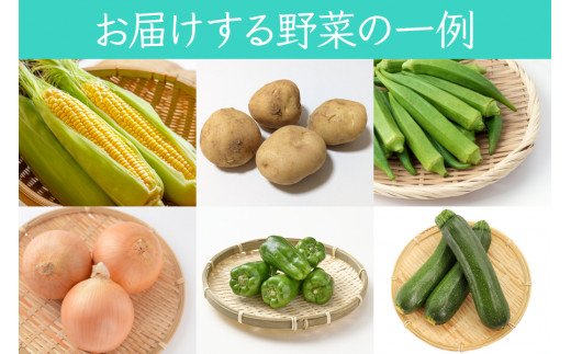 葉菜言葉のおまかせ夏野菜セット 1kg｜旬の野菜 夏 野菜セット 冷蔵 詰め合わせ 産直 農家直送 新鮮 ギフト サラダ [0636]