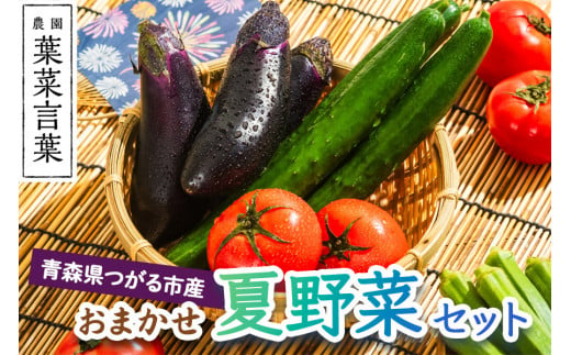 葉菜言葉のおまかせ夏野菜セット 1kg｜旬の野菜 夏 野菜セット 冷蔵 詰め合わせ 産直 農家直送 新鮮 ギフト サラダ [0636]