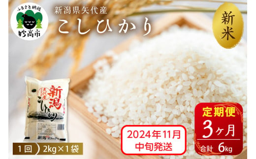 【2024年11月中旬発送】令和6年産 新潟県矢代産コシヒカリ2kg×3回（計6kg）