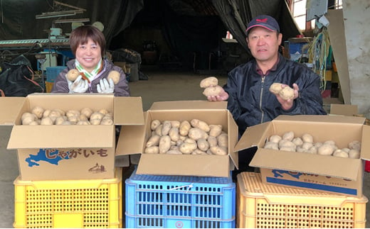 [№5795-0373]北海道 幌加内産 じゃがいも（きたあかり）約10kg 笠井ファーム