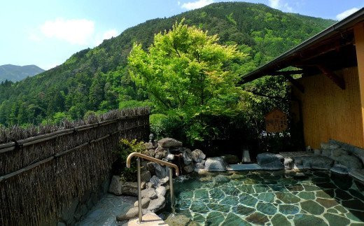 下呂温泉 【水鳳園】宿泊補助券（30,000円分）旅館 宿泊券 温泉 旅行 チケット 下呂市 下呂温泉 すいほうえん 3万円