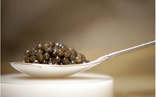 盃 Sakazuki Caviar：池月酒造 純米吟醸 縁の舞50使用