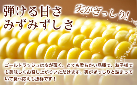 朝採りスイートコーン(ゴールドラッシュ) 約5kg 10本～16本入り アグリサポート美馬《6月上旬‐6月末頃出荷》徳島県 美馬市 とうもろこし スイートコーントウモロコシ コーン ゴールドラッシュ 野菜 青果物 送料無料