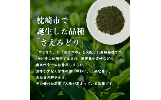 1番茶(新芽)のみを使用 有機煎茶＜さえみどり＞KAORU園 (100g×3本)  B3-60【1167075】