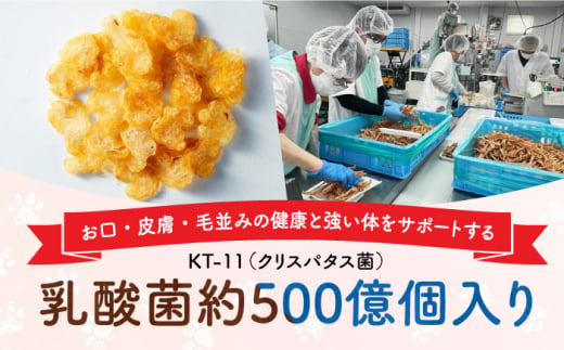 Softbits （野菜）さつまいも（40g×6P）長崎県/株式会社サポート [42AEAE017] ソフトビッツ ドッグフード いぬ 犬 イヌ ドッグ おやつ ペットフード ペット 乳酸菌 国産 さつまいも サツマイモ 甘藷 薩摩芋 シニア 幼犬 老犬 小分け 小型犬 中型犬 大型犬 ドック 安心 犬のおやつ さつま芋 いも 芋