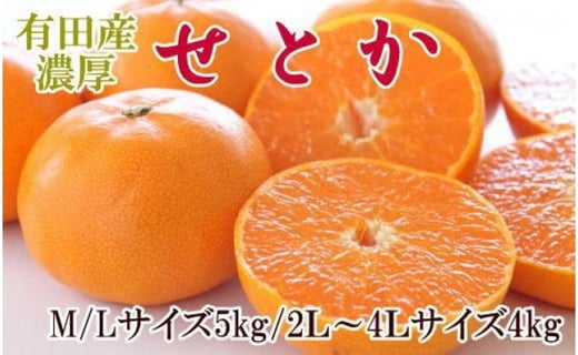 一度は食べていただきたい「有田産のせとか」約4～5kg（サイズおまかせ）★2025年2月中旬頃より順次発送【TM138】