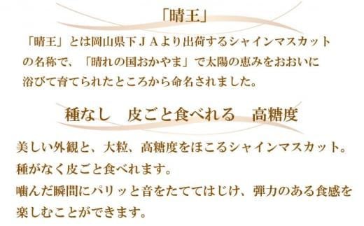 ぶどう 2024年 先行予約  シャインマスカット 晴王 約700g×1房 ブドウ 葡萄  岡山県産 国産 フルーツ 果物 ギフト