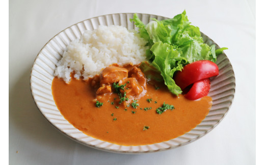 阿波尾鶏 バターチキンカレー  10人前 180g×10パック 国産 鶏肉 地鶏 あわおどり むね肉 カレー