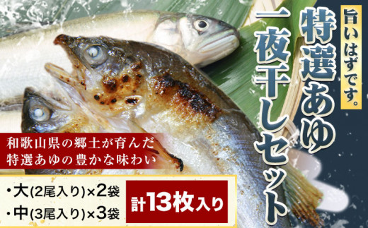 「旨いはずです。」特選あゆ一夜干しセット(13枚入)　日高川漁業協同組合《90日以内に出荷予定(土日祝除く)》 和歌山県 日高川町 あゆ 鮎 魚 一夜干し