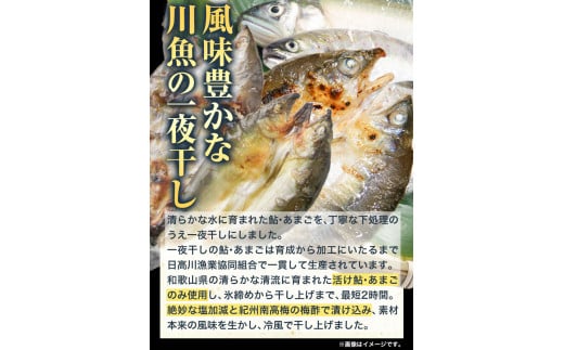 「旨いはずです。」特選あゆ一夜干しセット(13枚入)　日高川漁業協同組合《90日以内に出荷予定(土日祝除く)》 和歌山県 日高川町 あゆ 鮎 魚 一夜干し