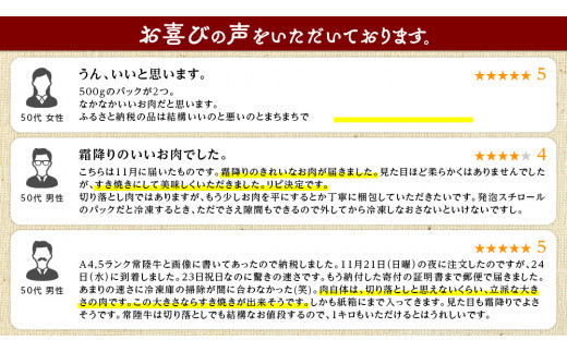 【 12ヶ月 定期便 】『 常陸牛 』 切り落とし 1kg (茨城県共通返礼品) 国産 お肉 肉 A4ランク A5ランク ブランド牛