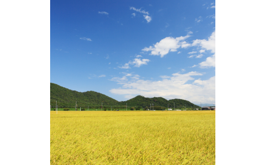 竜王町 返礼品なしの応援受付【返礼品なし/10,000円】