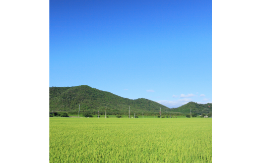 竜王町 返礼品なしの応援受付【返礼品なし/10,000円】