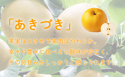 最高級 蔵王の梨 あきづき  約5kg  特秀･大玉　【04301-0717】梨 なし 果物 くだもの スイーツ フルーツ デザート 甘い ジューシー 蔵王