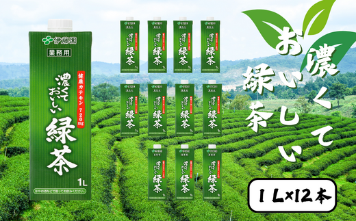 濃くておいしいお茶 2ケース（1L×12本入り） | 茨城県 常陸太田市 茶 お茶 日本茶 緑茶 グリーンティー ドリンク 濃い 濃度 カテキン 健康 おいしい アイスティー 氷 緑茶割り お茶ハイ お酒 割材 業務用 紙パック 伊藤園