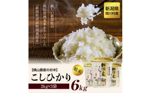 ＜毎月定期便＞横山農産のお米 こしひかり精米6kg 全12回【4058813】