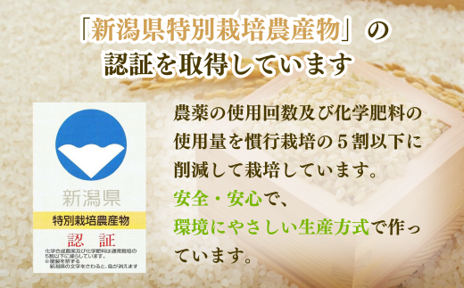 【新米】 特別栽培米 「新之助」5㎏ 新潟県産 出雲崎町産 令和6年産 白米 精米 お米 