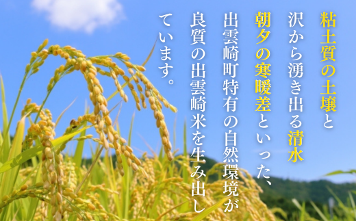 【新米】 特別栽培米 「新之助」5㎏ 新潟県産 出雲崎町産 令和6年産 白米 精米 お米 