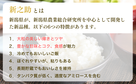 【新米】 特別栽培米 「新之助」5㎏ 新潟県産 出雲崎町産 令和6年産 白米 精米 お米 