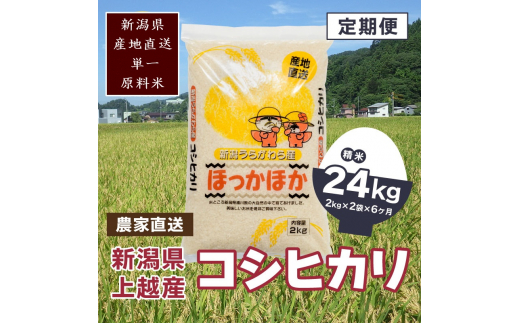 定期便 6回 【毎月定期便】新潟県上越市浦川原産 極上の雪国米 コシヒカリ 4kg (2kg×2) 精米 全6回