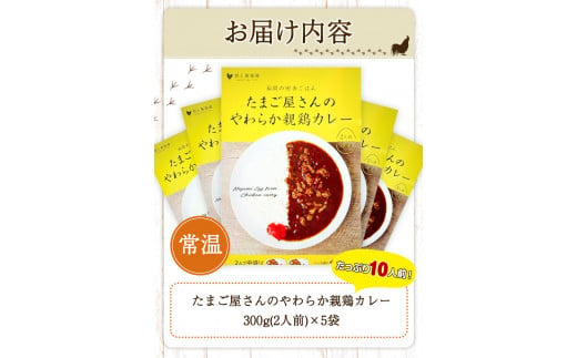 たまごやさんのやわらか親鶏カレー 10人前 300g×5袋 野上養鶏場 《60日以内に出荷予定(土日祝除く)》 味宝卵