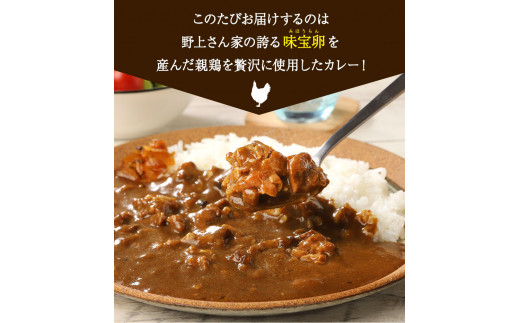 たまごやさんのやわらか親鶏カレー 10人前 300g×5袋 野上養鶏場 《60日以内に出荷予定(土日祝除く)》 味宝卵