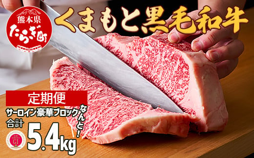 【定期便 3回】くまもと黒毛和牛 サーロインステーキ 【豪華ブロック】約1.8kg×3回