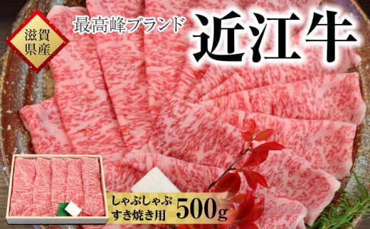 【着日指定必須】近江牛　すき焼き・しゃぶしゃぶ用　５００ｇ