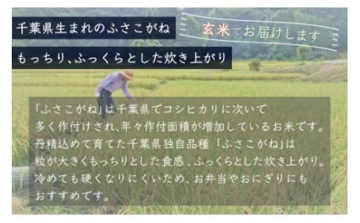 ＜3ヶ月定期便＞千葉県産「ふさこがね」玄米5kg×3ヶ月連続 計15kg ふるさと納税 玄米 定期便 5kg ふさこがね 千葉県 大網白里市 送料無料