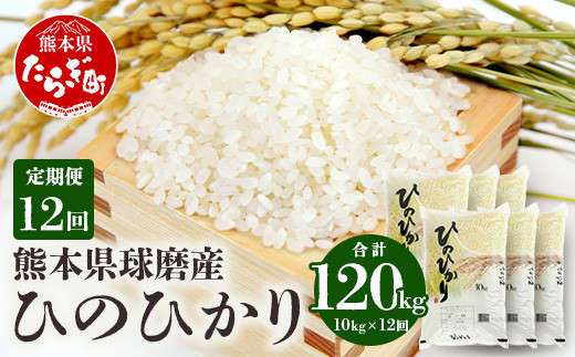 【定期便年12回】球磨産 ひのひかり10kg 精米 白米