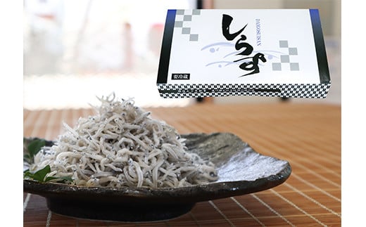 ちりめん 化粧箱500g