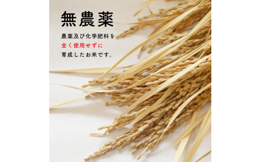 無農薬 ・ 化学肥料不使用 コシヒカリ(玄米)  2kg（10月中旬以降の発送）   ｜ 有機農産物認証推進協会認定 玄米 お米 米 こしひかり 無農薬 美祢市 山口県 秋芳 カルスト台地 湧き水 ミネラル 結び家 くらとも