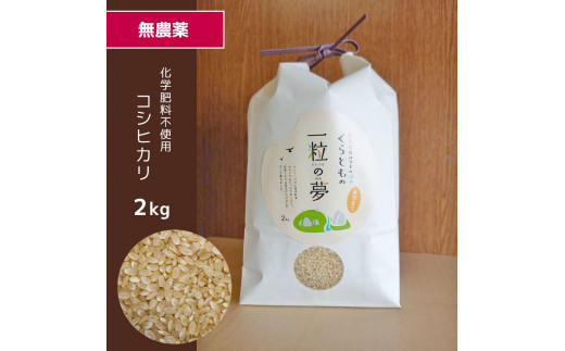 無農薬 ・ 化学肥料不使用 コシヒカリ(玄米)  2kg（10月中旬以降の発送）   ｜ 有機農産物認証推進協会認定 玄米 お米 米 こしひかり 無農薬 美祢市 山口県 秋芳 カルスト台地 湧き水 ミネラル 結び家 くらとも