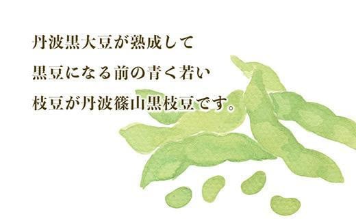 【2025年10月中旬発送】令和7年産 丹波ふるさと村の丹波黒枝豆500g×5(枝なし)