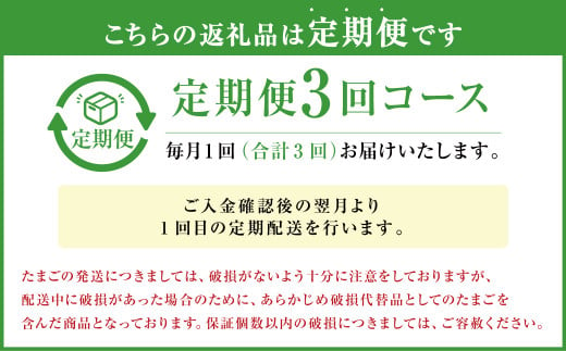 【定期便年3回】 球磨球子 60個入 卵 たまご 鶏卵