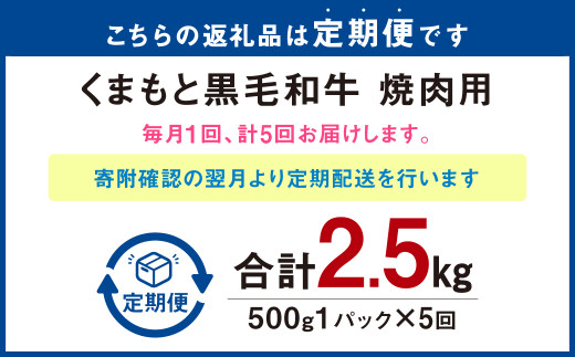 【定期便5回】くまもと黒毛和牛 焼肉用 500g×1P