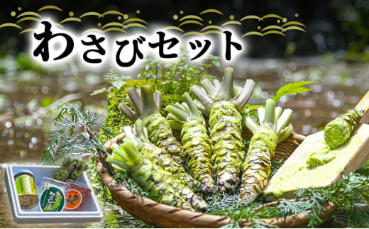 わさび セット さくら 伊豆わさび食品直送 生わさび 2本 手作り わさび漬け 天城の春 三杯酢漬け わさびみそ 伊豆 ワサビ 茎 加工品 加工食品 薬味 詰め合わせ 静岡 調味料 [№5227-0346]