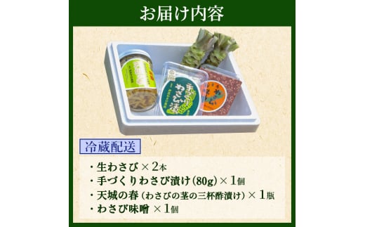 わさび セット さくら 伊豆わさび食品直送 生わさび 2本 手作り わさび漬け 天城の春 三杯酢漬け わさびみそ 伊豆 ワサビ 茎 加工品 加工食品 薬味 詰め合わせ 静岡 調味料 [№5227-0346]