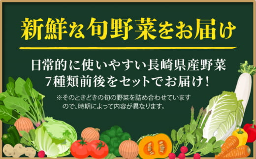 長崎県産 野菜 詰合せ 長崎県/ジョイフルサンアルファ [42AABH001] 野菜 詰合せ 長崎 旬 セット