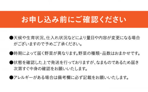 長崎県産 野菜 詰合せ 長崎県/ジョイフルサンアルファ [42AABH001] 野菜 詰合せ 長崎 旬 セット