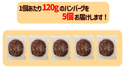 黒毛和牛 100％ ビーフ ハンバーグ 120ｇ 5個 ピンク岩塩付 ハンバーグ 肉 惣菜 冷凍 塩 こだわり ハンバーグ おすすめ おかず 夕食 晩ごはん 福岡県 川崎